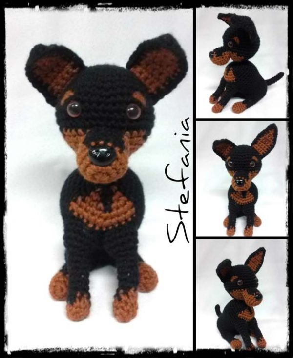 mini pinscher